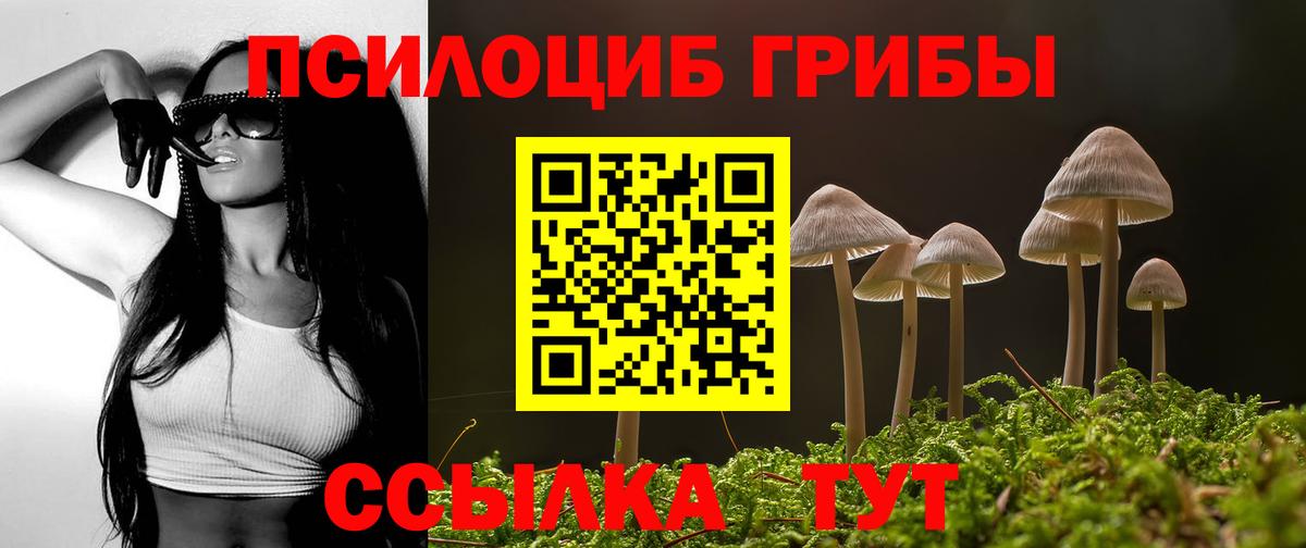 Галлюциногенные грибы MAGIC MUSHROOMS  хочу   Саратов  Вход с VPN 