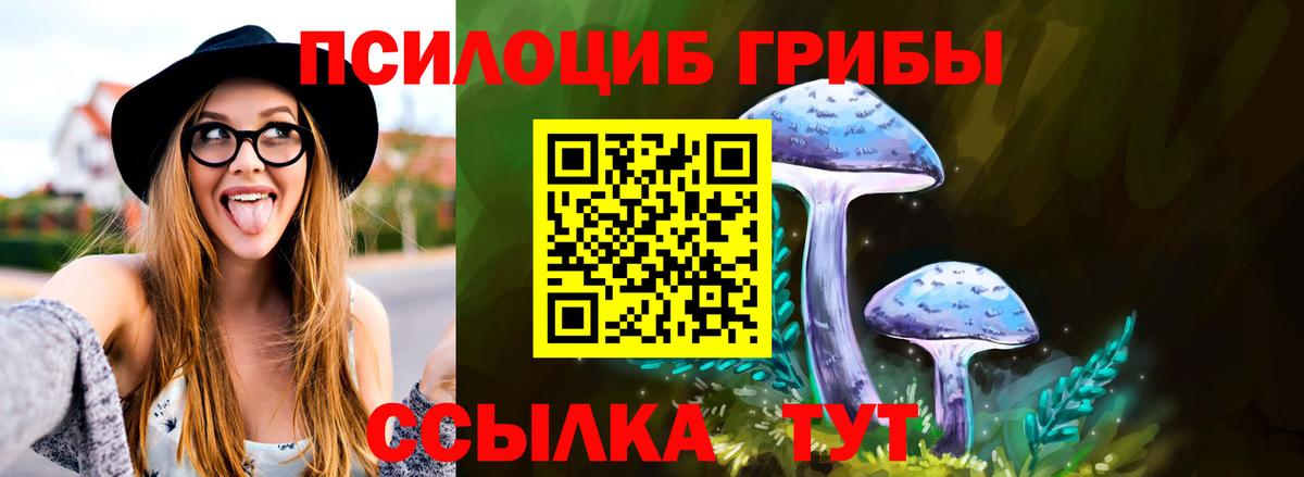 Псилоцибиновые грибы Magic Shrooms Саратов